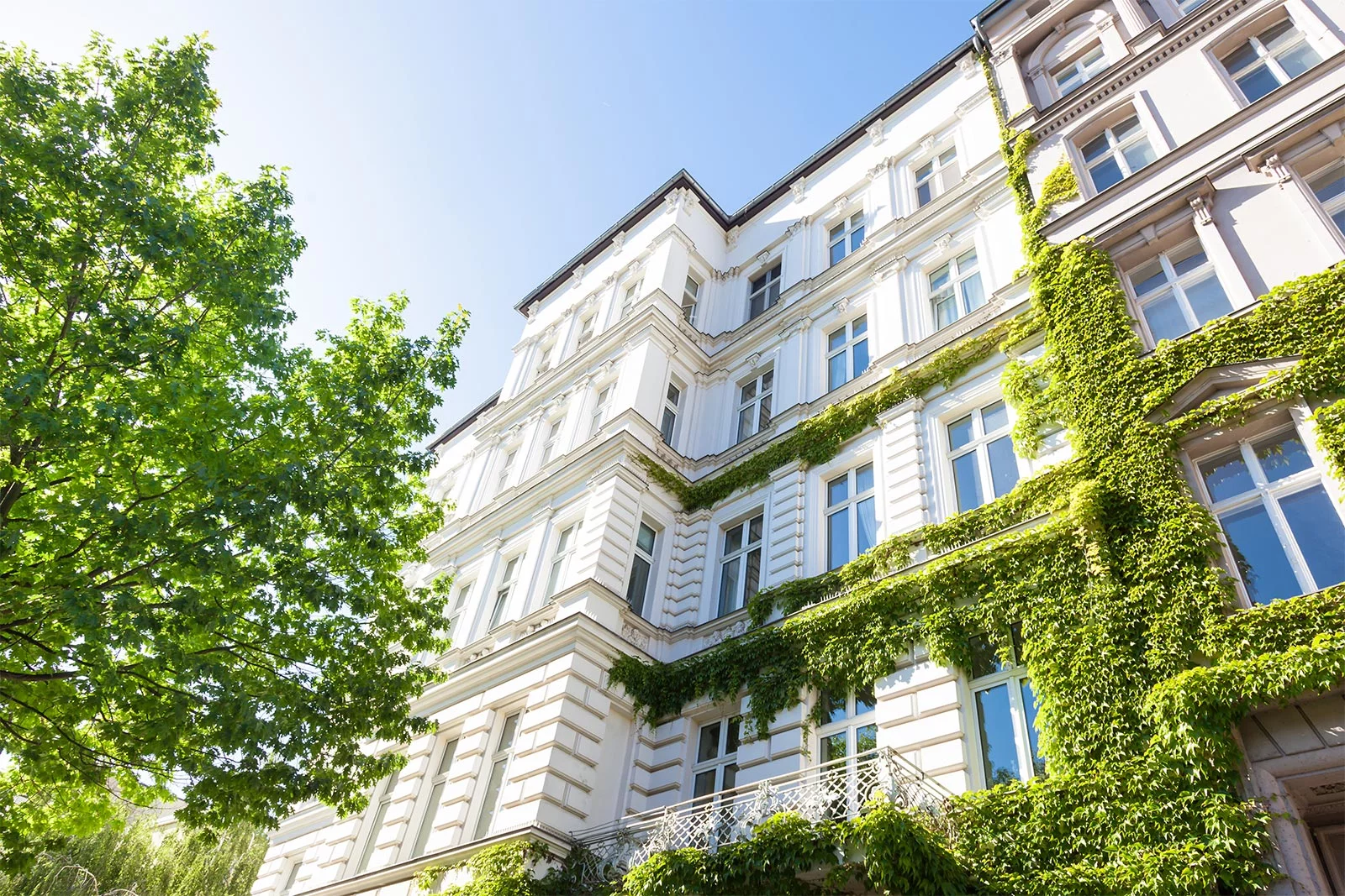 Selma Blancke - Immobilienmaklerin in Bayreuth